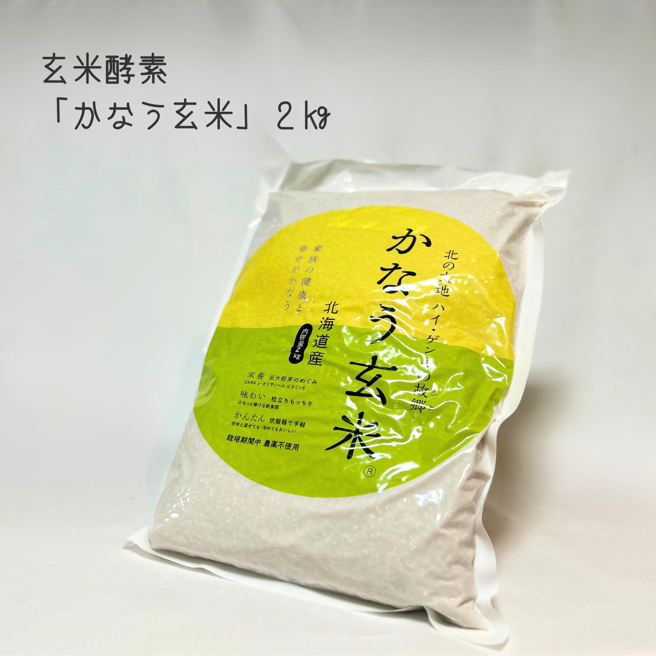 YOJO BOX「血」“めぐる”タイプ(G)