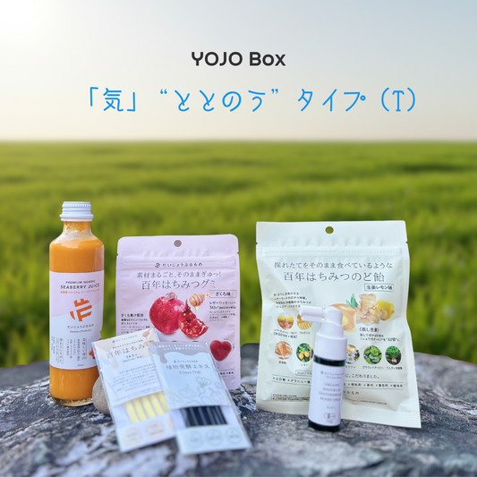 YOJO BOX「気」“ととのう”タイプ(T)