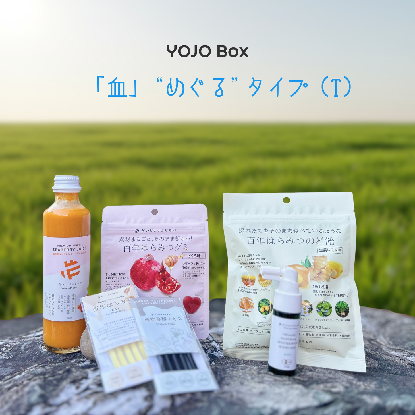 YOJO BOX「血」“めぐる”タイプ（T）